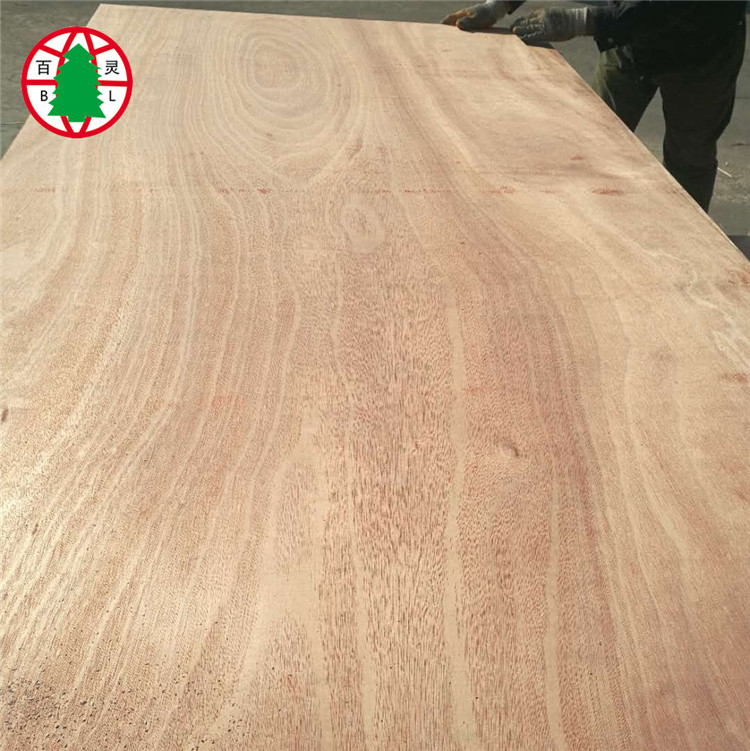 Okoume plywood